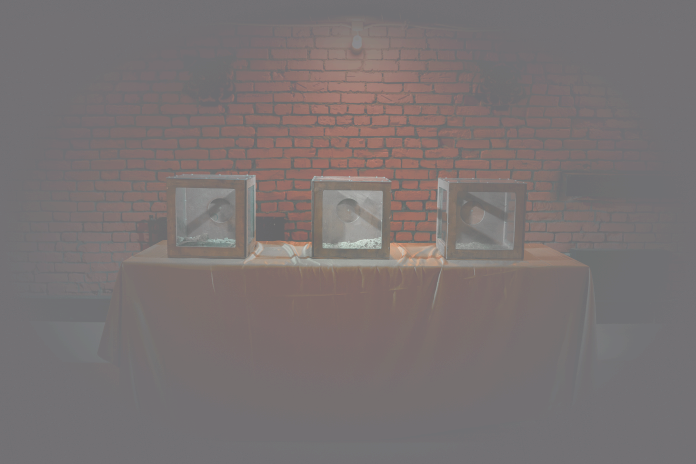 Незабываемый поход классом вместе с Форт Боярд